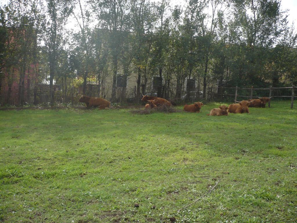 Bed and breakfast Il Baffetto 3*