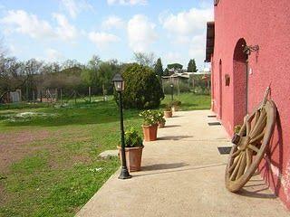Bed & Breakfast Il Baffetto Roma
