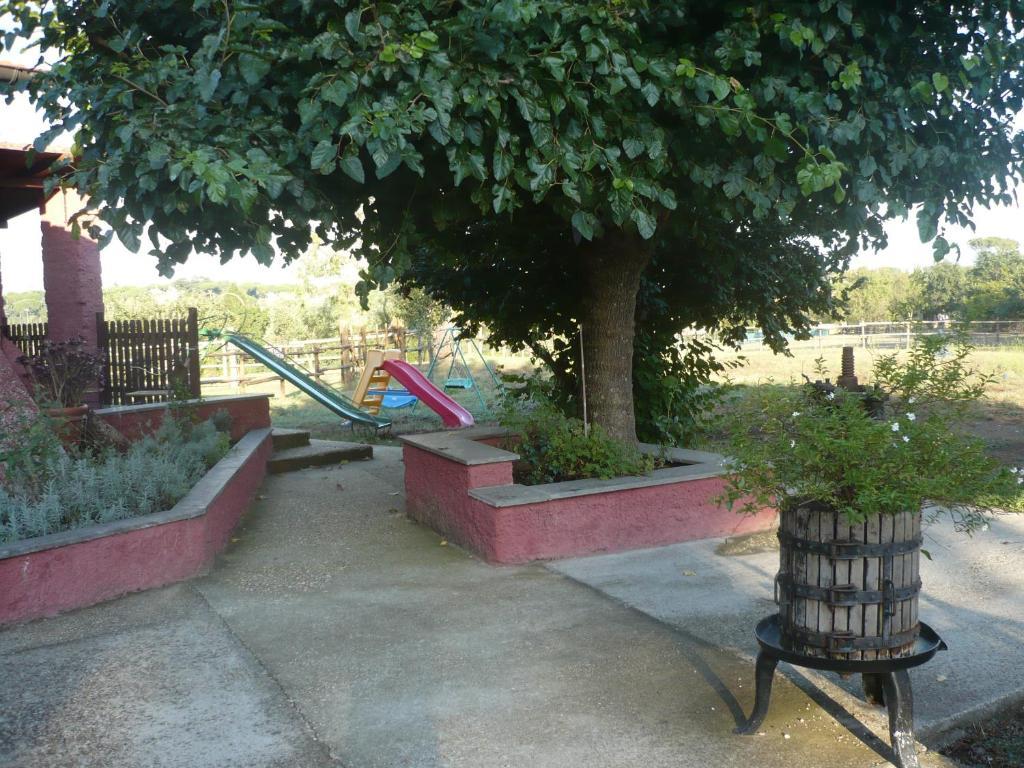 Il Baffetto Bed & Breakfast Roma